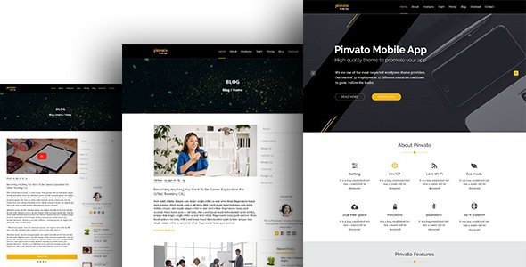 Pinvato Mobile App - PSD Template icon