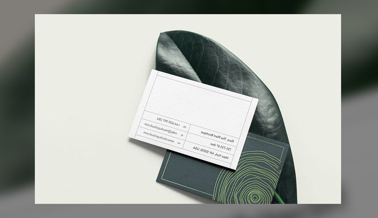 Elegant Business Cards Mockup icon