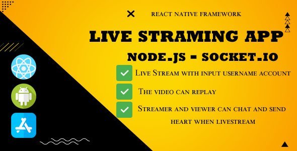 Live streaming App Backend Node.js - socket.io Flutter Chat &amp; Messaging Mobile App template