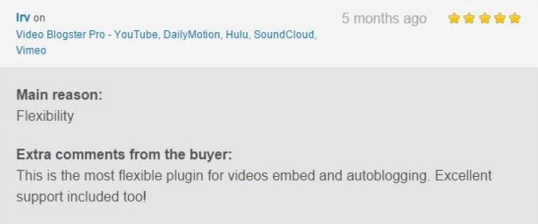 Video Blogster Pro - import YouTube videos to WordPress. Also DailyMotion, SoundCloud, Vimeo, more - 13