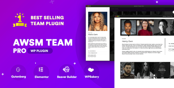 The Team Pro - Team Showcase WordPress Plugin    