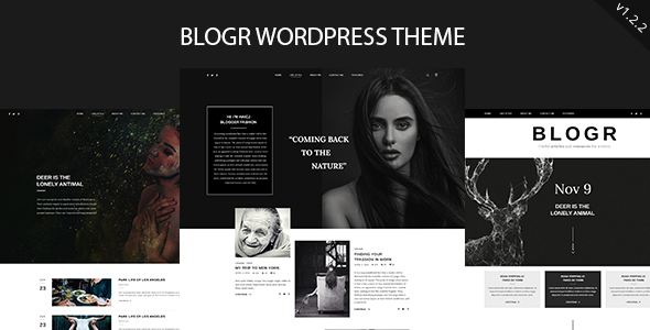 BLOGR - WordPress Theme for Special Bloggers icon