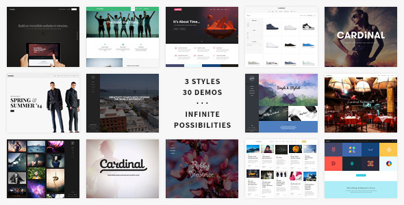 Cardinal - WordPress Theme icon