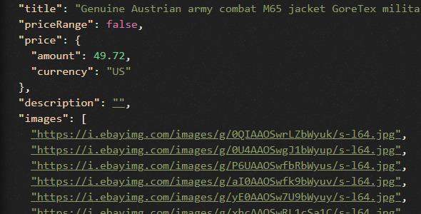 Ebay scraper with NodeJS, all products and search data to JSON format.h icon