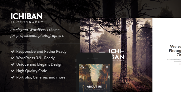 Ichiban - A Theme for Photographers icon