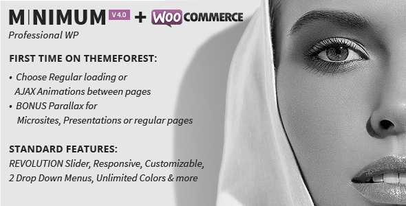 MINIMUM - Professional WordPress Theme icon