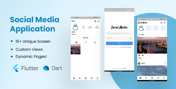 Social Media Application (Flutter) icon