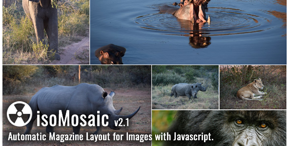 isoMosaic Photo Wall Layout Generator icon