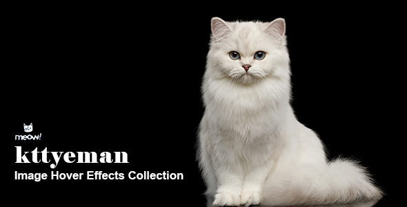kttyeman - CSS3 Image Hover Effects icon