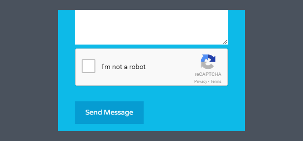 Google reCAPTCHA Support Included