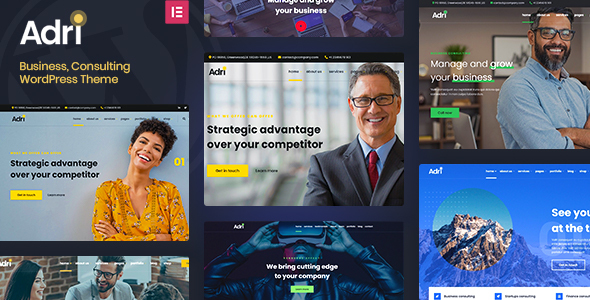 Adri - Business and Consulting WordPress Theme icon