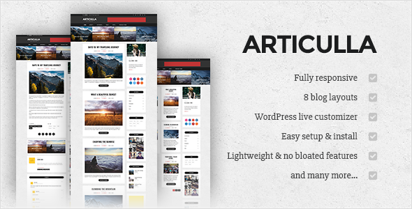 Articulla - Responsive WordPress Blog Theme icon