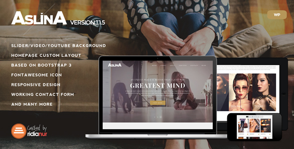 Aslina - Responsive One Page Portfolio Theme icon