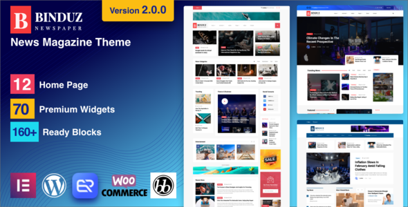 Binduz - Blog Magazine Newspaper Theme icon