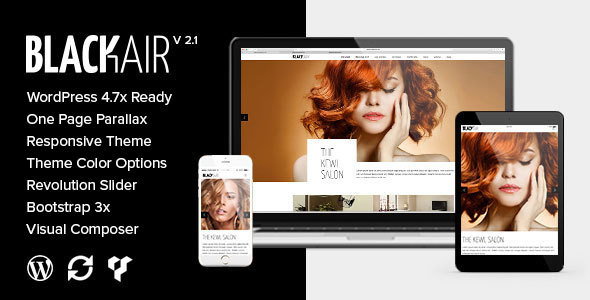 Blackair - One Page WordPress Theme for Hair & Beauty Salon icon