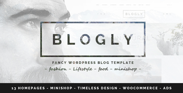 Blogly - Fancy WordPress Blog Theme icon