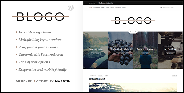 Blogo - Responsive Blog WordPress Theme icon