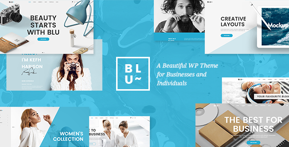 Blu - A Beautiful Business Theme for Agencies and Individuals icon