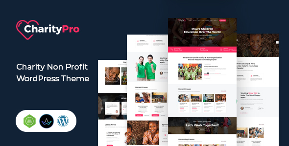 Charity Pro - Fundraising WordPress Theme icon