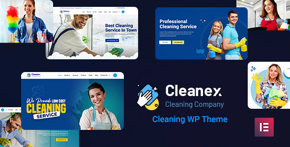 Cleanex - Cleaning Service WordPress Theme icon