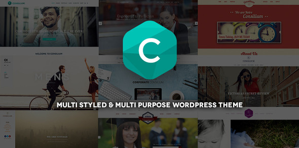 Consilium - Multi-Styled & Multi-Purpose Theme icon