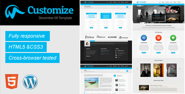 Customize Responsive WordPress Theme icon