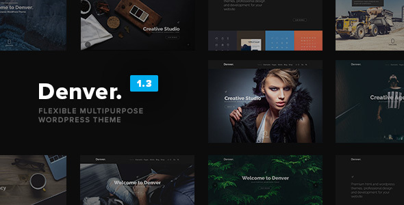 Denver - Flexible Multipurpose WordPress Theme icon