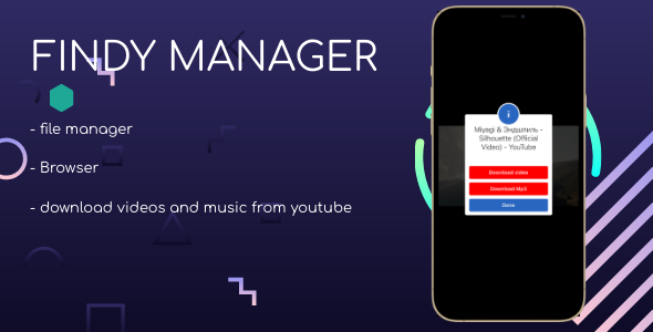 Findy manager video music downloader iOS icon