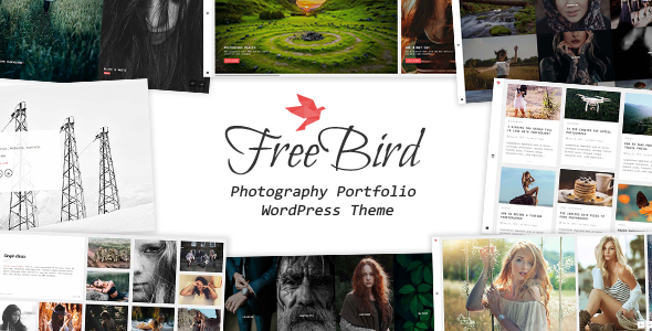 FreeBird - Photography Portfolio WordPress Theme icon
