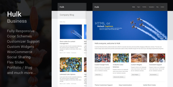 Hulk Business/Portfolio Wordpress Theme icon