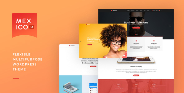 Mexico - Flexible Multipurpose WordPress Theme icon