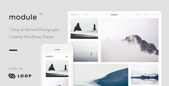Module – A Minimalist Photography WordPress Theme icon