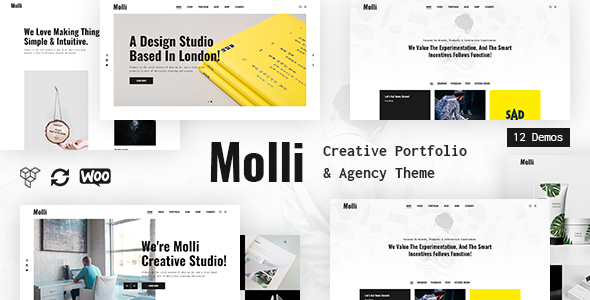 Molli - Creative Portfolio & Agency Theme icon