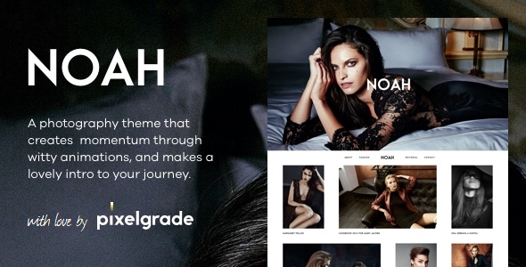 NOAH - A Witty Photography WordPress Theme icon