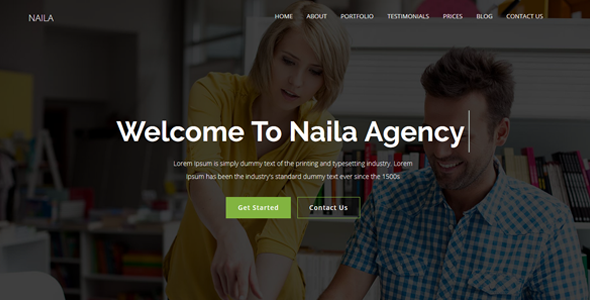 Naila - One Page MultiPurpose WordPress Theme icon