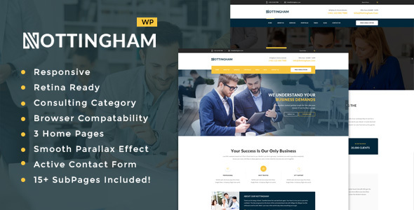 Nottingham: Business Consultancy WordPress Theme icon