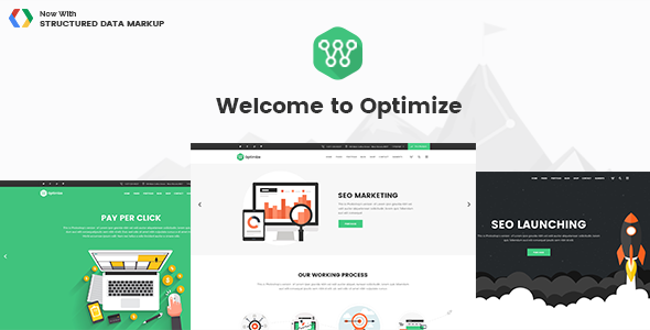 Optimize - SEO & Social Media Theme icon