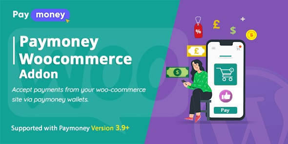 PayMoney - WooCommerce Addon icon
