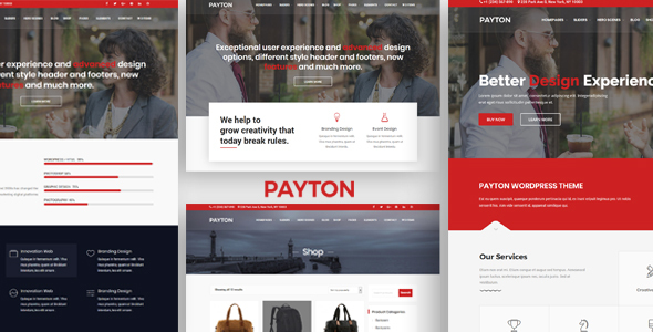 Payton - Business Creative WordPress Multipurpose Theme icon