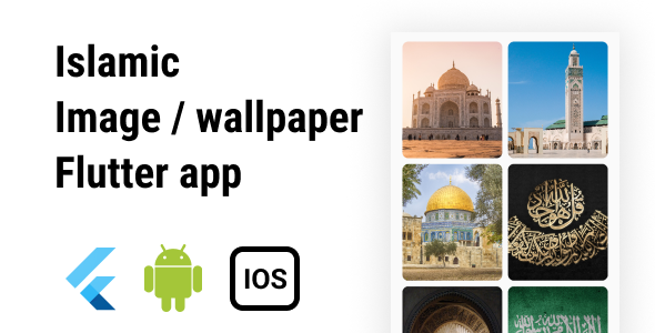 Picdale: Image or wallpaper app with admin app and server side code : flutter android ios icon