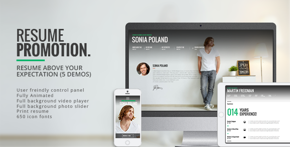 Promotion - Animated CV Resume Theme icon