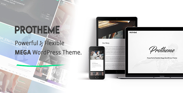 Protheme - Powerful & Flexible Mega WordPress Theme icon