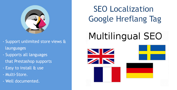 SEO Google Hreflang Tag and Canonical URL Tag icon