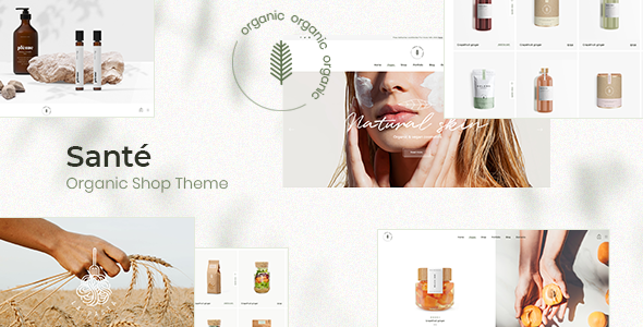 Santé - Organic Shop Theme icon