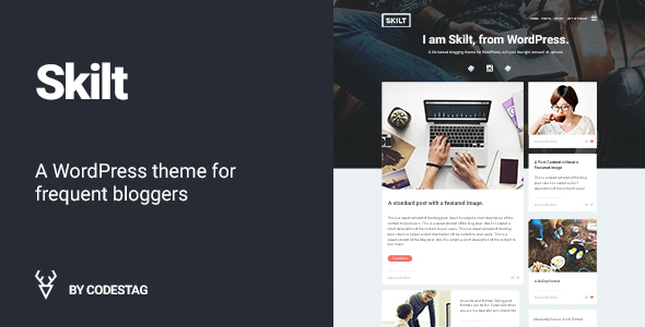 Skilt - A WordPress theme for Frequent Bloggers icon