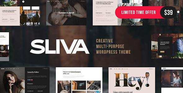 Sliva - Responsive Multi-Purpose Theme icon