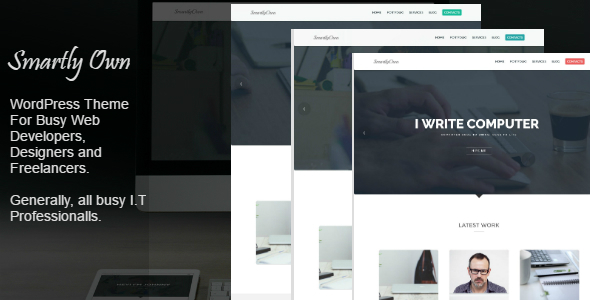 Smartly Own - WordPress Theme For I.T Professionals icon