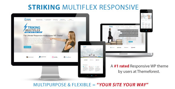 Striking - MultiFlex & Ecommerce Responsive WP Theme icon