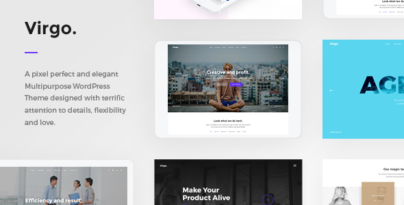 Virgo. - Multipurpose Multi-Concept WordPress Theme icon