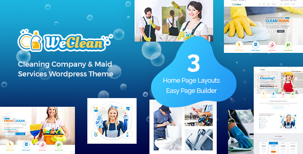 We Clean - Cleaning WordPress icon